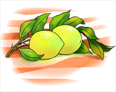 digital School Book Illustrations London samples