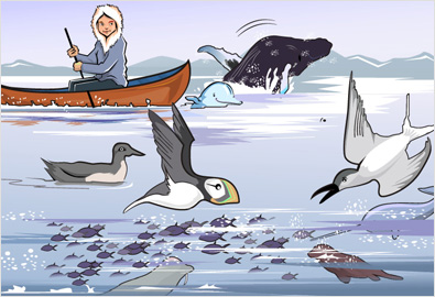 nature book illustrations 