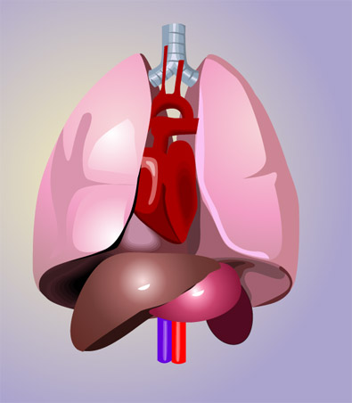 Medical Illustrations