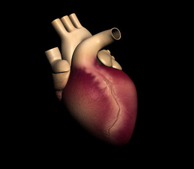 medical-illustration