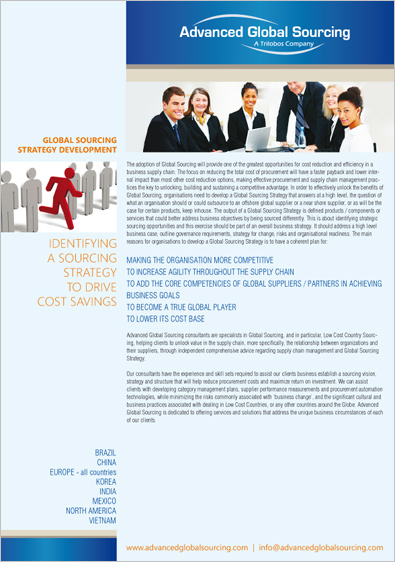 Consultant Company Brochure Design 