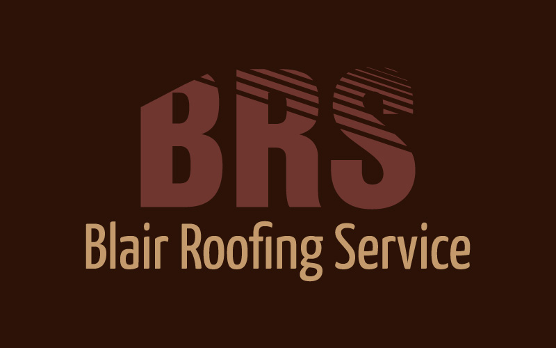 Roofing Servises Logo Design