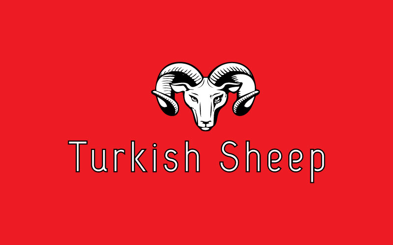 Turkish Supermarket Logo Design