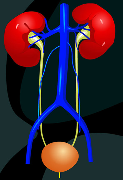Medical Book Illustrations