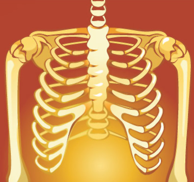 Medical Anatomy Illustrations