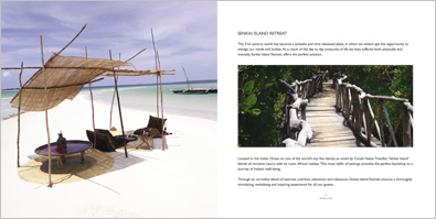 Fitness Company Brochure Design 